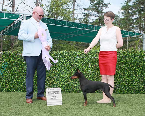 Rey is pictured winning Reserve Best in Show at the Cape Breton Kennel Club under judge Raymond Yurick